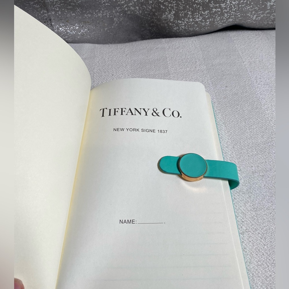 Tiffany & Co. Teal Journal with Gold Clasp - Picture 3 of 5